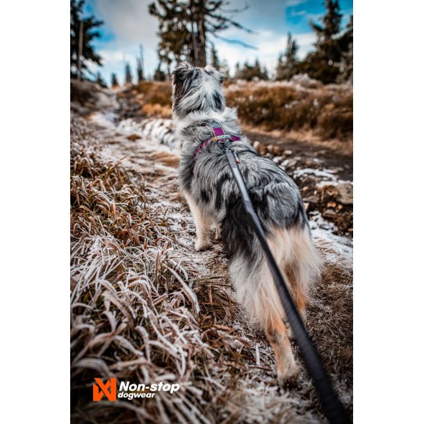 Non-Stop Dogwear Line Harness 5.0 - Lilla