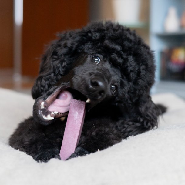 YAKI - Bl�b�r Bones