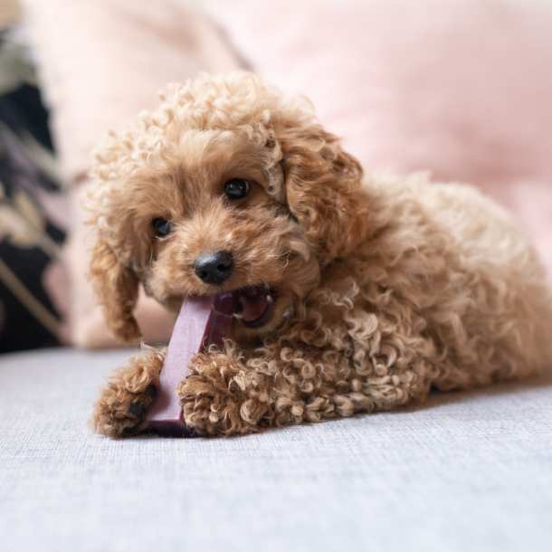 YAKI - Bl�b�r Bones