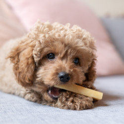 YAKI - H�ndlavet Himalaya Peanutbutter Bones