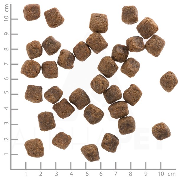 Wolfsblut Black Bird Adult, 12,5 kg - Kalkun