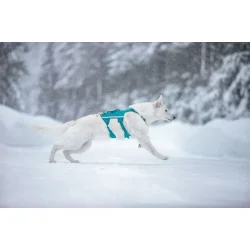 Non-Stop Dogwear, Ramble long Hundesele - Teal