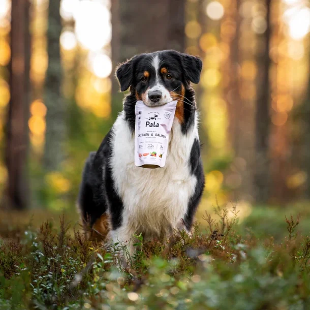 Pala - RAW Premium Fuldfoder - Recipe #2, Kylling &amp; Laks