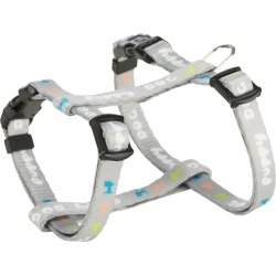 Junior puppy sele m. line - Gr