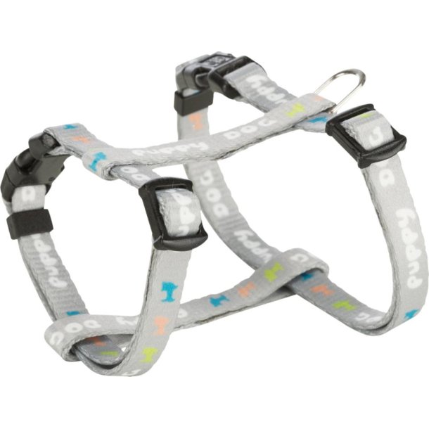 Junior puppy sele m. line - Gr