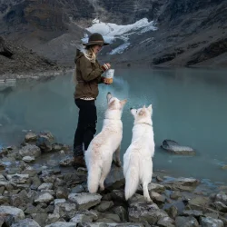 PALA TREATS 100% kanin, 100g