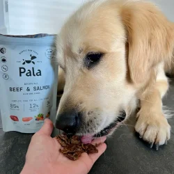 Pala - RAW Premium Fuldfoder - Recipe #3, Oksekd &amp; Laks