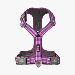 Comfort Walk Air Sele - Purple Passion