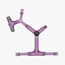 Comfort Walk Air Sele - Purple Passion