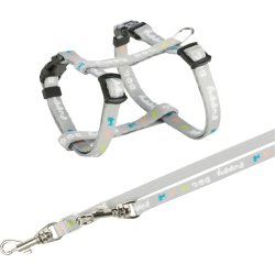 Junior puppy sele m. line - Gr