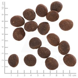 Wolfsblut Polar Night Adult, 12,5 kg - Rensdyr