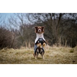 Nonstop Dogwear - Fjord regnjakke 2.0 i gr