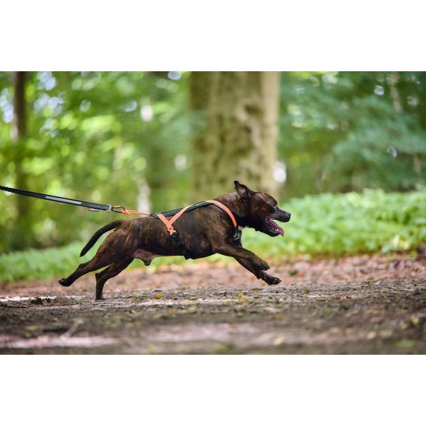 Rush Lbesele Orange/Sort