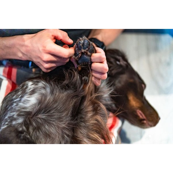 ALT I EN SALVE - Potepleje 