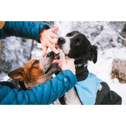 ALT I EN SALVE - Potepleje 