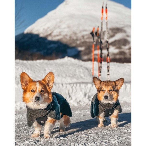 Non-Stop Dogwear Premium Jakke af Uld