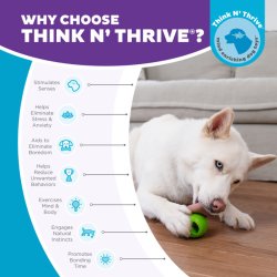 Orbee-Tuff Nooks - Grn, Paw (Kan bruges som indsats i Snoop)