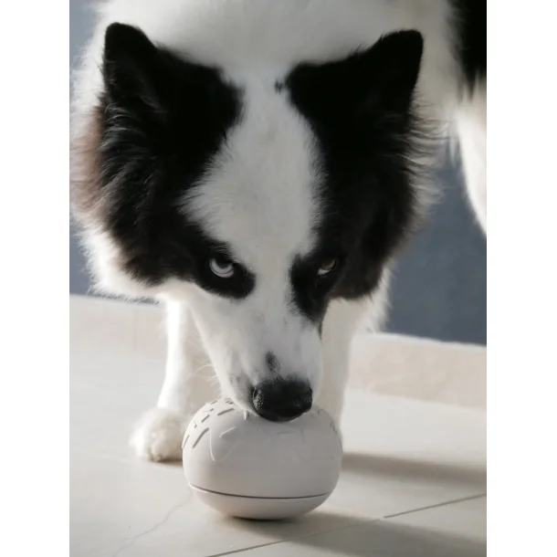 Inooko - Aktiverings Yoomy Donut, Sand