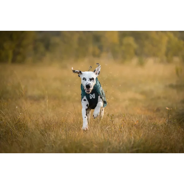 Nonstop Dogwear - Fjord Lined regnjakke i Dark Teal