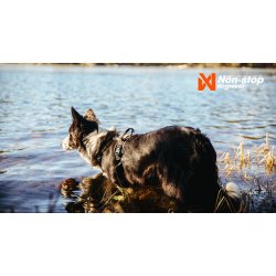 Non-Stop Dogwear Rock Hundesele