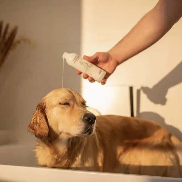 Greenfields - Shampoo &amp; Conditioner 