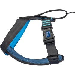 CarSafe Crash Tested Hundesele