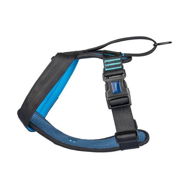 CarSafe Crash Tested Hundesele