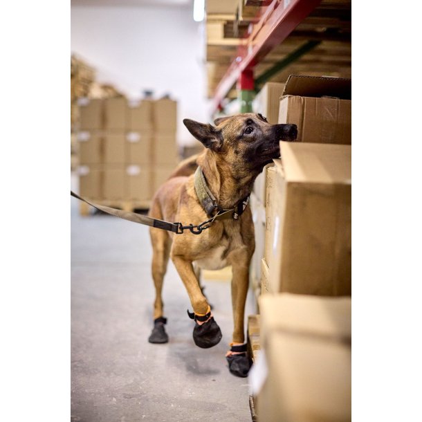 WD solid collar - justerbart velcro halsbnd