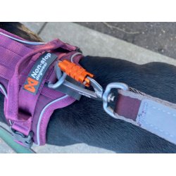 Non-Stop Dogwear Move Hundesnor - Vlg mellem 5 farver