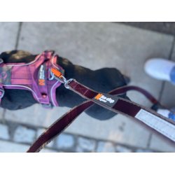 Non-Stop Dogwear Move Hundesnor - Vlg mellem 5 farver