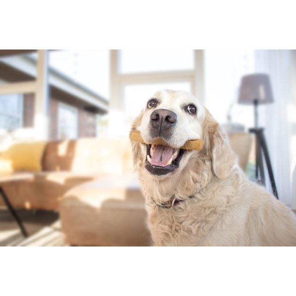 YAKI - Hndlavet Himalaya Cheese Bones