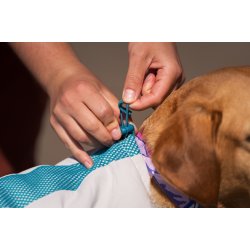 Non-stop dogwear - K�levest til hunde