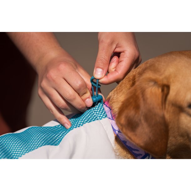 Non-stop dogwear - K�levest til hunde