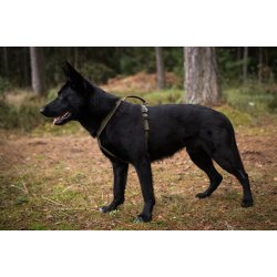 Non-stop Dogwear Line harness grip defense - Grn