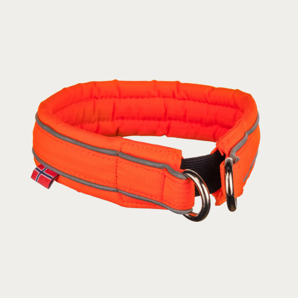 Safe Collar