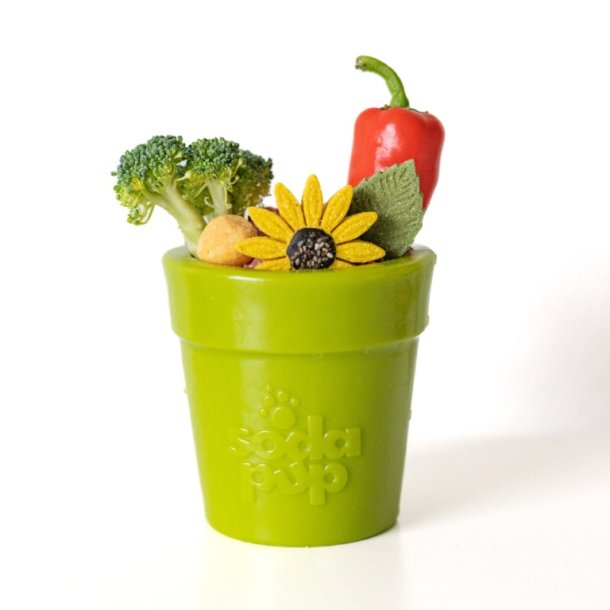 Sodapup Flower Pot 