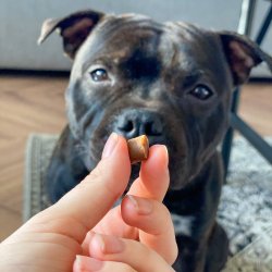 Softies Godbidder - Vildt - 200 gram