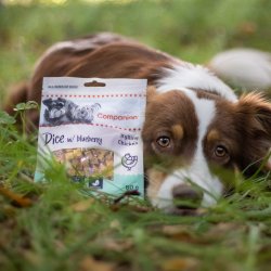 Companion godbidder m. Kylling og blbr, 80g