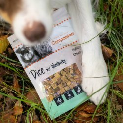 Companion godbidder m. Kylling og blbr, 80g