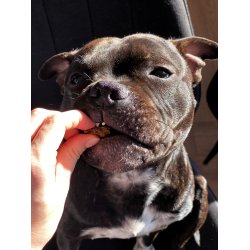 Snack'it - Trningsgodbidder - 100% Gs - 100 gram