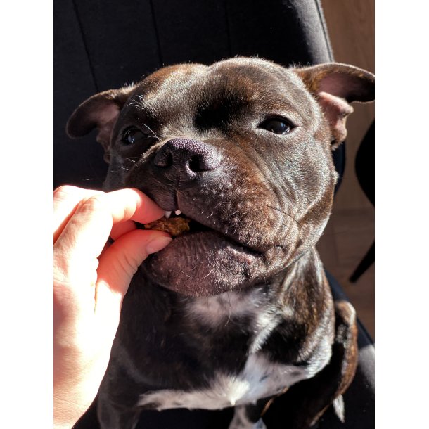 Snack'it - Trningsgodbidder - 100% Gs - 100 gram