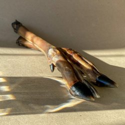 Rdyrunderben u. pels, 25-30cm, pakke med 3 stk.