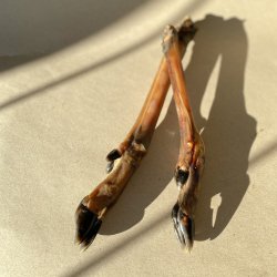 Rdyrunderben u. pels, 25-30cm, pakke med 3 stk.