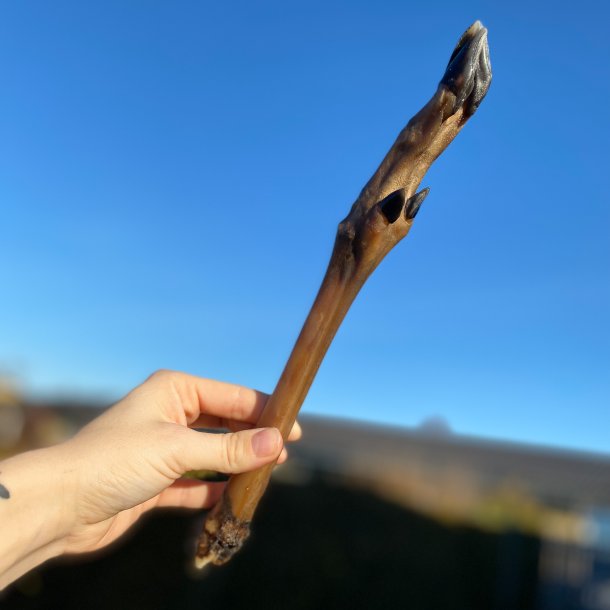 Rdyrunderben u. pels, 25-30cm, pakke med 3 stk.