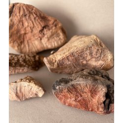 Whesco Tyggeben af Trrod