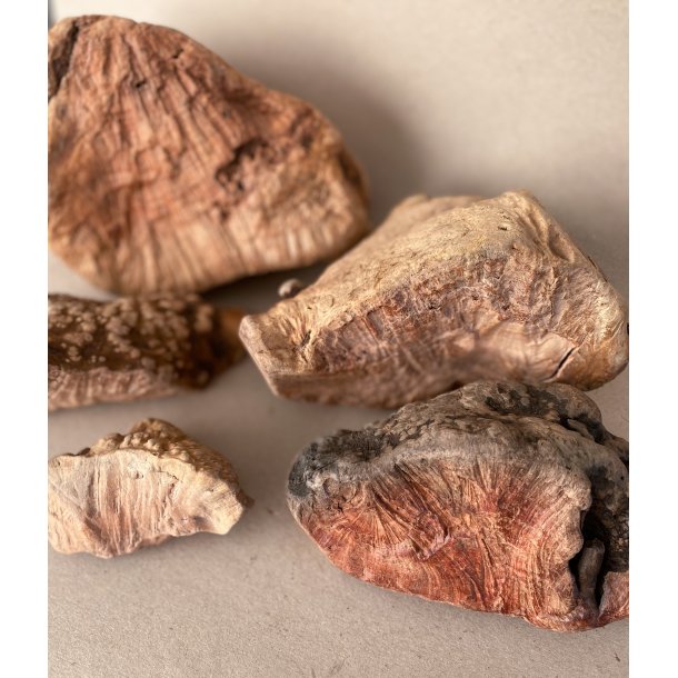 Whesco Tyggeben af Trrod