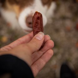 Companion sm plser, Lam- 100g