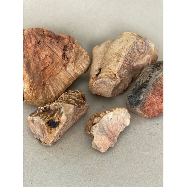 Whesco Tyggeben af Trrod