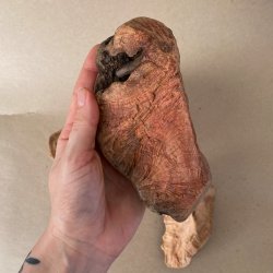 Whesco Tyggeben af Trrod