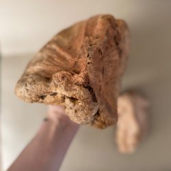 Whesco Tyggeben af Trrod